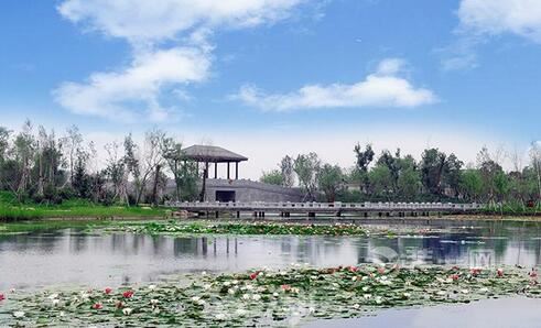 市民又多赏美景绝佳去处 扬州将建设北湖湿地公园